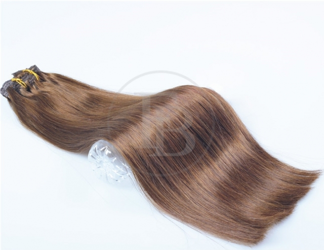 #4 Chocolate Brown  Clip Hair Extensions 