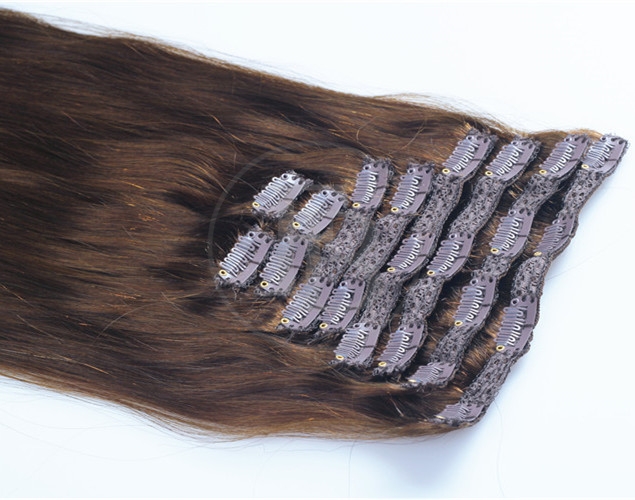 #4 Chocolate Brown  Clip Hair Extensions 